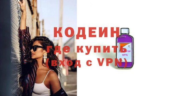 ГАЛЛЮЦИНОГЕННЫЕ ГРИБЫ Каменка