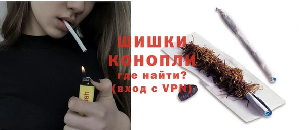 ГАЛЛЮЦИНОГЕННЫЕ ГРИБЫ Каменка
