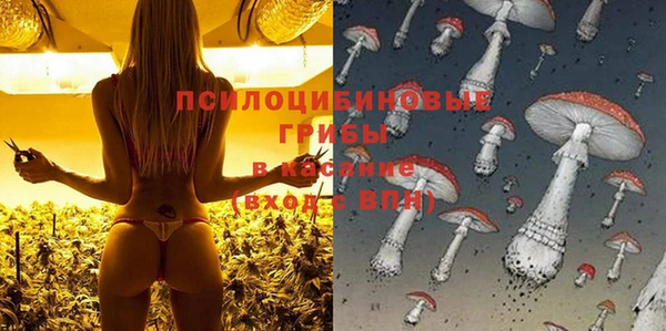 МДМА Каменногорск