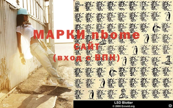 ГАЛЛЮЦИНОГЕННЫЕ ГРИБЫ Каменка