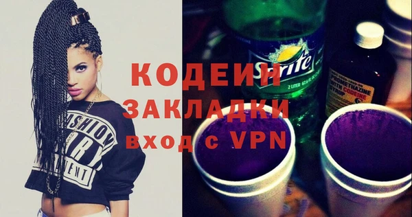 ГАЛЛЮЦИНОГЕННЫЕ ГРИБЫ Каменка