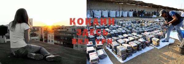 ГАЛЛЮЦИНОГЕННЫЕ ГРИБЫ Каменка