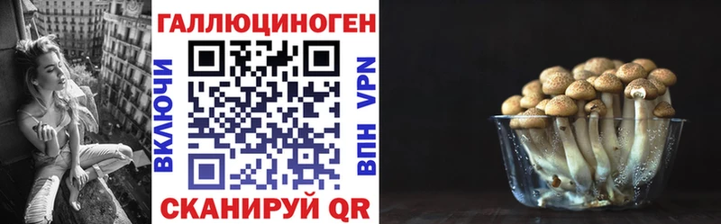 Галлюциногенные грибы Psilocybine cubensis  Купить закладки  Топки 